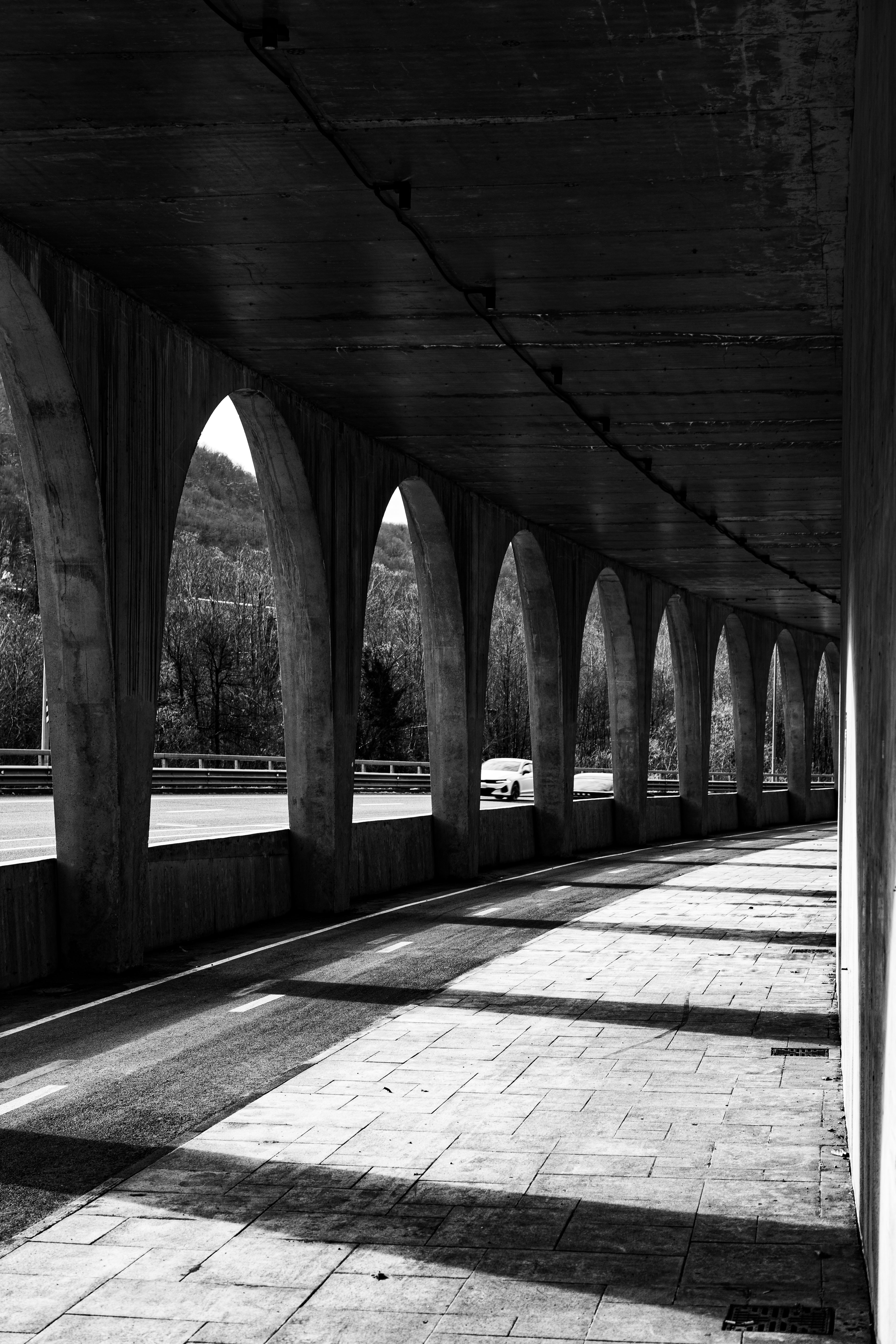 Фото проекта «Краснополянский терренкур» — МОА